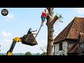 Idiots With Chainsaws: Tree Cutting Fails | Extreme Dangerous Logging Truck Fails #45