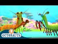 Octonauts - The Mantis Shrimp | Cartoons for Kids | Underwater Sea Education