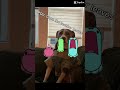 When the teacher leaves #funny