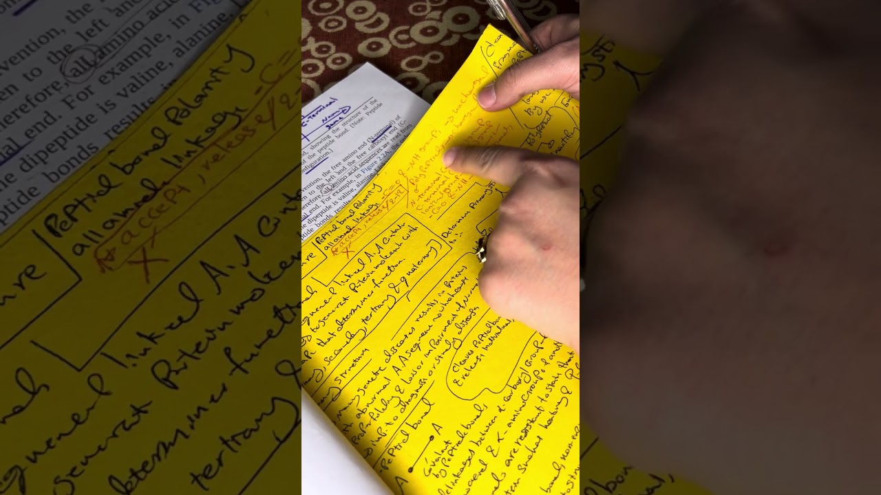 Lippincott biochemistry protein structure part -2-