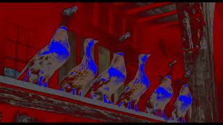 Fanfare Of Quacking In Il Vocodex Effects