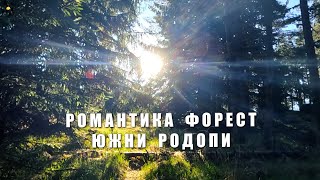 Романтика Форест - Южни Родопи 2024