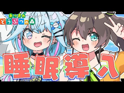 【あつ森】まつり先輩とゆるゆる睡眠導入【水宮枢／FLOW GLOW】#hololiveDEV_IS