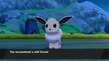 Wild Shiny Eevee! (Pokémon Sword/Shield) (703 Encounters)