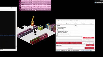 Habbo Hotel: Packet Logging [SCRIPTING][HACKING]