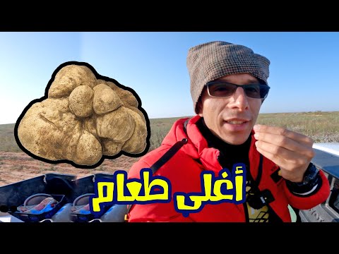 الكمأ شفاء للناس و طعام الأثرياء