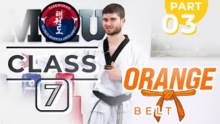 Taekwondo - Orange Belt - Class 7 (Part 3)