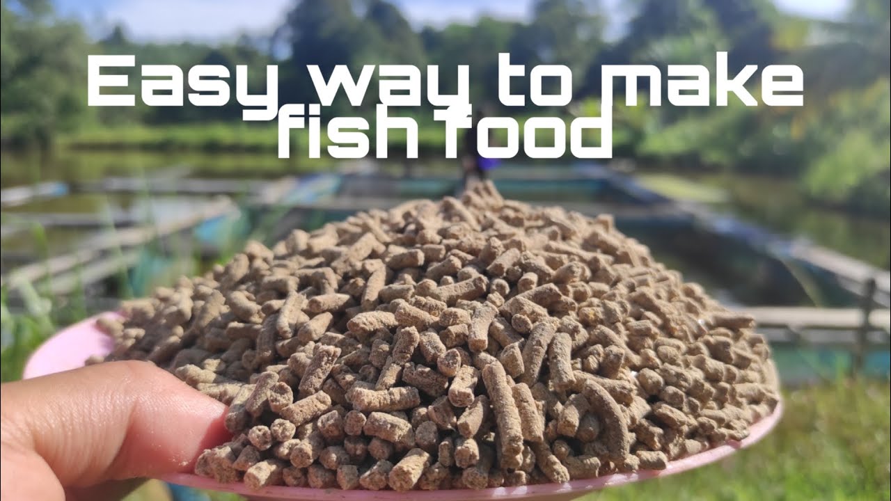 How To Make Fish Food Tilapia YouTube