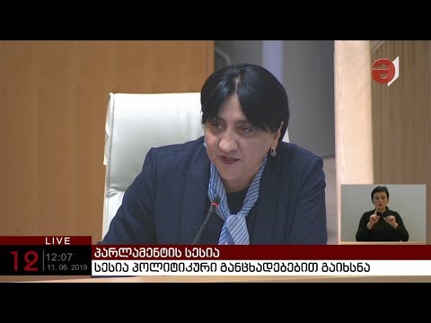 ირმა ინაშვილმა სადემარკაციო კომისიის საქმიანობის გამოძიების მოთხოვნით პროკურატურას მიმართა