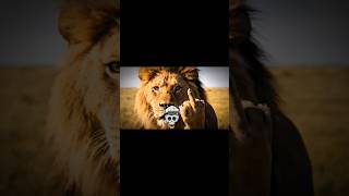 𝙡𝙞𝙤𝙣 𝙖𝙪𝙧𝙖 99999