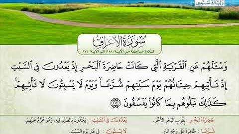 سورة الأعراف | من الآية 158 إلى 171 | القارئ الشيخ نهاد أيوب أبو العطا