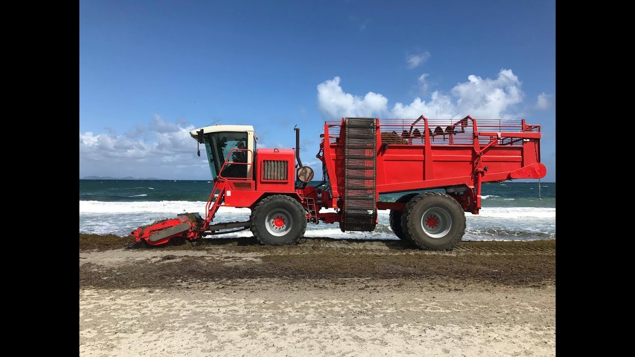 Axinor Ramasseuse d'algues sargasses