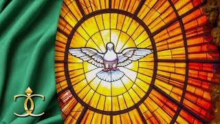 11/16/2025, 11:00 am