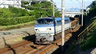 2019/09/02 JR貨物 今日の8090レ(レール輸送) EF66-118[吹]＋日鐵チキ18B