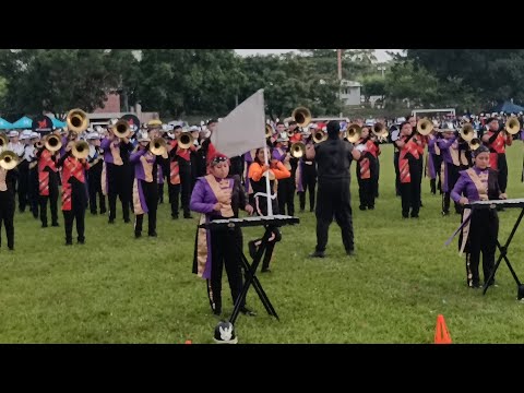 Competencia de bandas