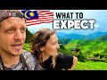 What Cameron Highlands Is Really Like In Malaysia (WATCH BEFORE GOING)