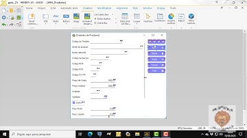 Guia Windev 25 - aula 109 - Focus, Grupos e exibição condicional.