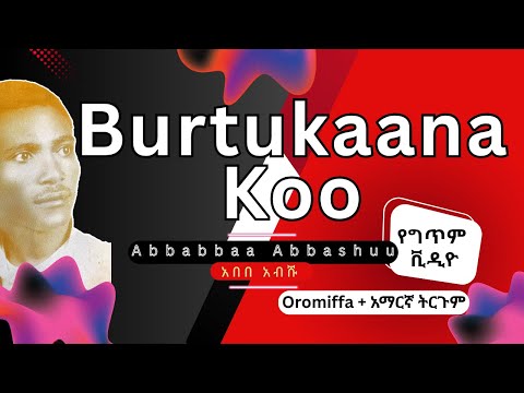 Abebe Abeshu Burtukaana Koo Lyrics Oromo Music Oromiffa አማርኛ ትርጉም