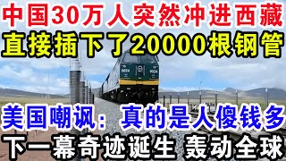 中国30万人突然冲进西藏，直接插下了20000根钢管，美国嘲讽：真的是人傻钱多！下一幕奇迹诞生轰动全球