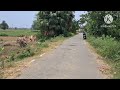 1 bigha , rate मात्र 7 lac per khatta Loc-Thubhapar nadama #patna #realestate f details-9693294282
