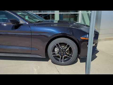 mischievous purple metallic 2023 ford mustang - YouTube
