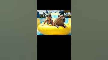 Capybara và  bé đi chơi máng trượt nước và cái kết #capybara #funny #cute #shorts #homepage #fyp