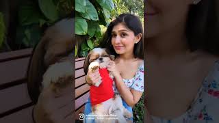 Puppy Love Simran Kaur Hundal