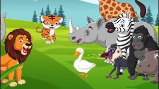 Memahami Keberagaman dan Keunikan Murid - seri guru penggerak