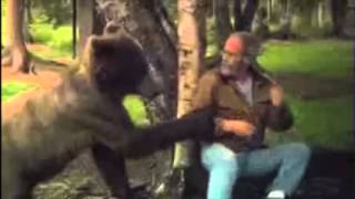 How to slap a bear TUTORIAL