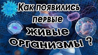 Как появились первые живые организмы?