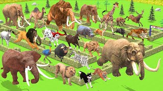 Maze Madness Race 24 Wild Animals Which Is The Fastest Animal Animal Revolt Battle Simulator