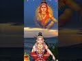 swamiye Sharannam ayyappa