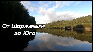 Сплав 2023: обнаружили древнего моллюска