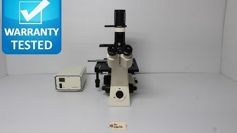 Zeiss Axiovert 25 CFL Inverted Fluorescence Microscope Pred Axio Vert.A1 [BOSTONIND] - 28606