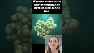 Climate change is making fish shrink!