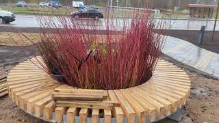 видео: ГК ПИК. Янинский лес. Гуляем и смотрим на очередной проект от ПИК. картинка: ГК ПИК. Янинский лес. Гуляем и смотрим на очередной проект от ПИК.