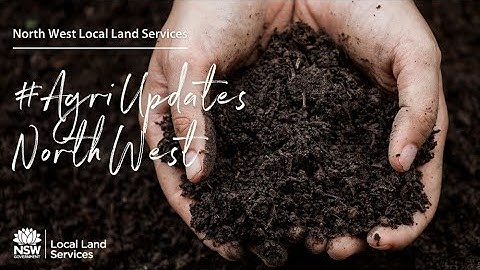 Subsoil constraints project with Stirling Roberton