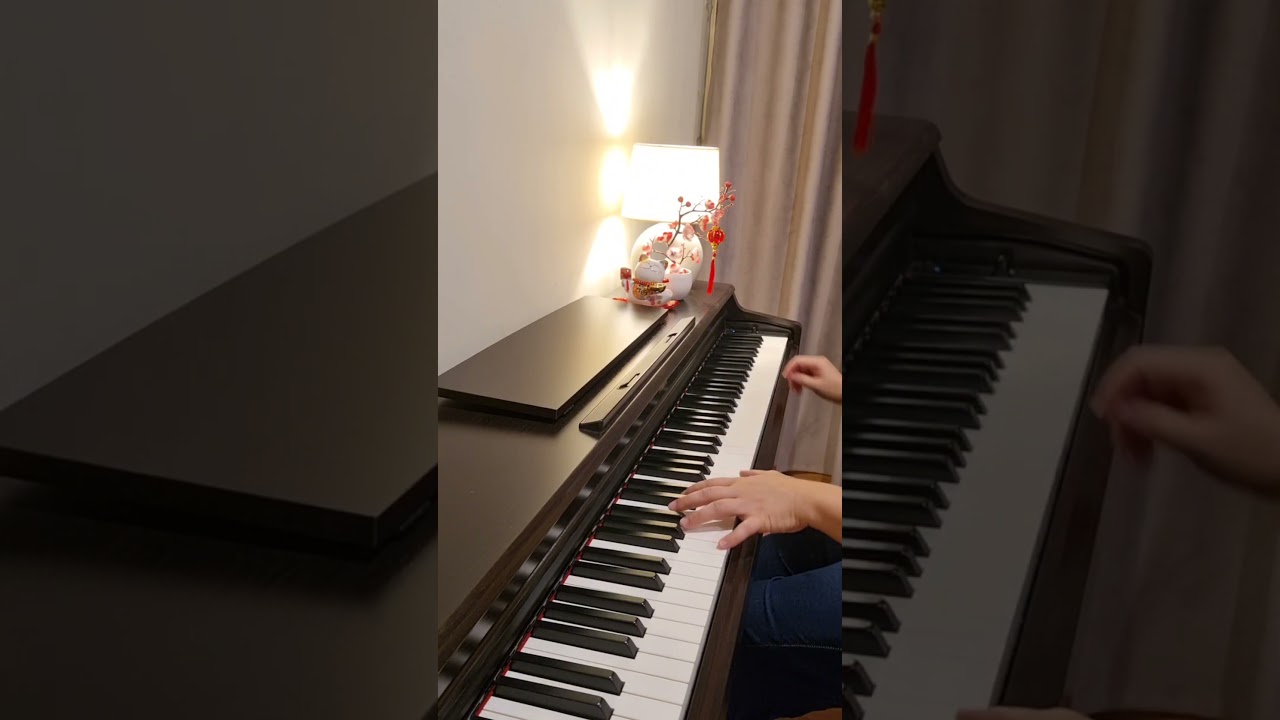 He Xin Nian, Chinese New Year Song