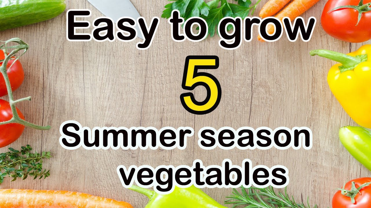 Top 5 easy to grow summer season vegetables| Garmiyon ki sabzian