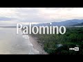 PALOMINO en la NUEVA NORMALIDAD | Pepito Viaja 🇨🇴