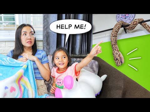 ช่วยด้วย!! งูหลุด ออกมาจากตะกร้า | บริ้งค์ไบรท์