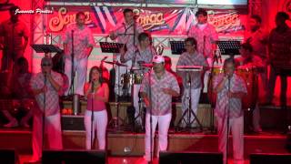 Caballo Viejo - Internacional Sabor - Songo 2015 chords