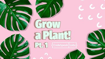 Hour of Code Scratch Project: Grow a Plant Part 1