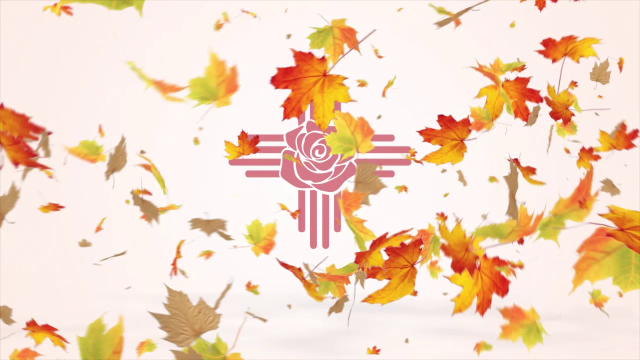 Online Flower Shop 87004