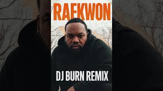 Raekwon feat. Method Man - From the Hills (DJ Burn Remix)