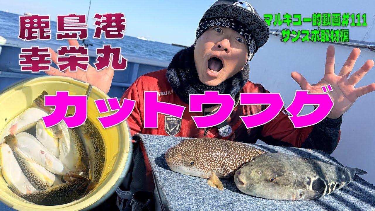 トラフグ？鹿島港 幸栄丸 カットウフグ＃111マルキユー的動画 サンスポ取材編