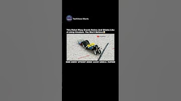 Wave-Like Robot Crawls, Swims & Climbs Like a Living Creature🤯#shorts#engineering