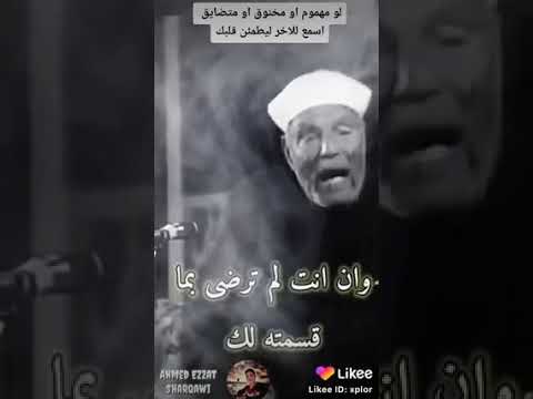١١ فبراير ٢٠٢٢
