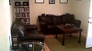 3500 Terrazzo Trl, Virginia Beach