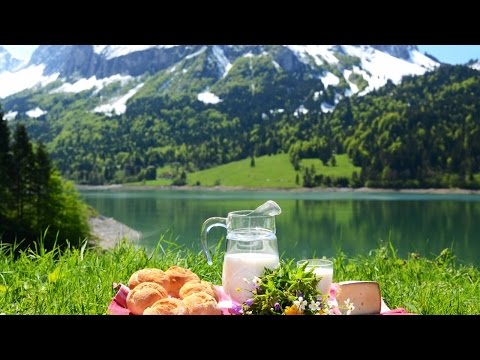 Работа в ЕС. Как и где приготовить покушать дальнобойщику в Европе?!(№50)